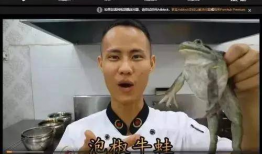 黄站视频,揭秘科技前沿，畅游未来世界